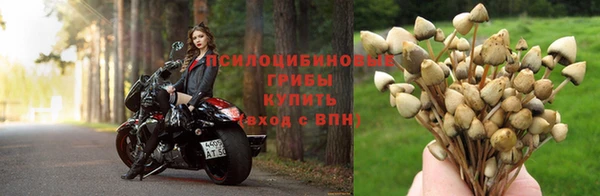 эйфоретик Баксан