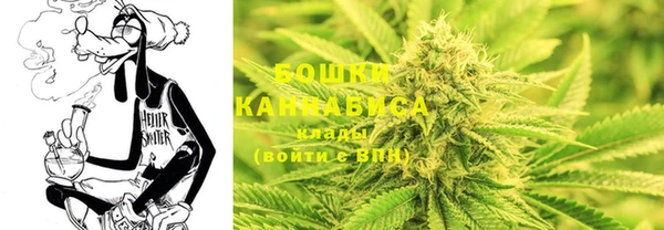 ECSTASY Балабаново