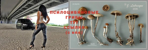 эйфоретик Баксан